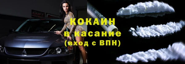 ПСИЛОЦИБИНОВЫЕ ГРИБЫ Новосибирск