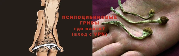 тгк Абинск