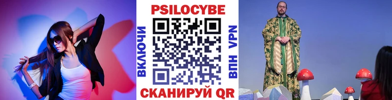 что такое Азнакаево Галлюциногенные грибы Psilocybine cubensis